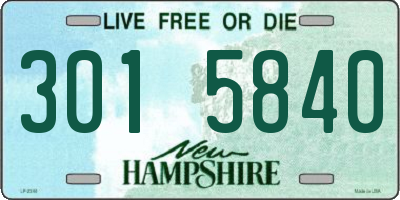 NH license plate 3015840