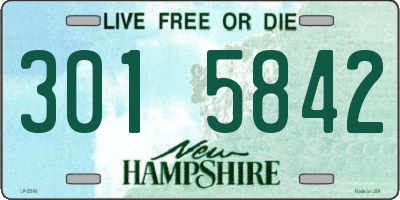 NH license plate 3015842