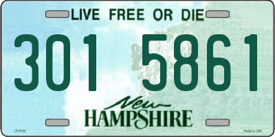 NH license plate 3015861
