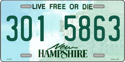 NH license plate 3015863