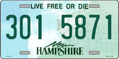 NH license plate 3015871