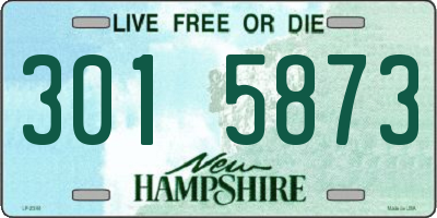 NH license plate 3015873