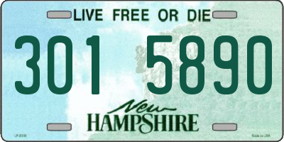NH license plate 3015890