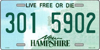 NH license plate 3015902
