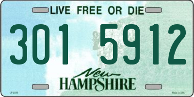 NH license plate 3015912