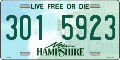 NH license plate 3015923