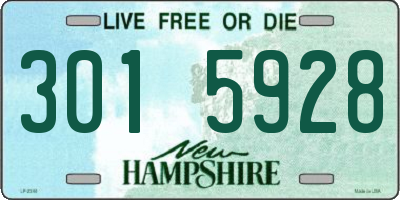 NH license plate 3015928