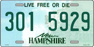 NH license plate 3015929