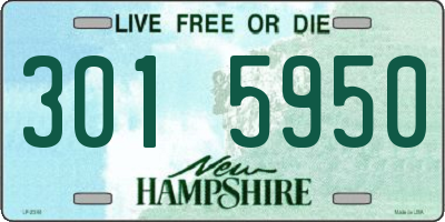 NH license plate 3015950