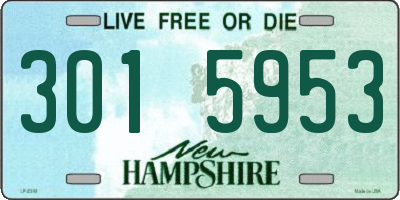 NH license plate 3015953