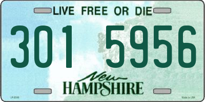 NH license plate 3015956