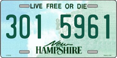NH license plate 3015961
