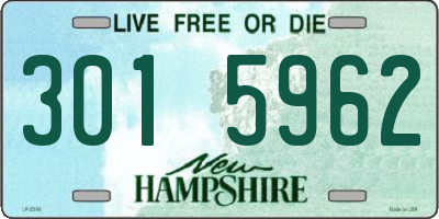 NH license plate 3015962