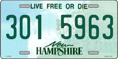 NH license plate 3015963