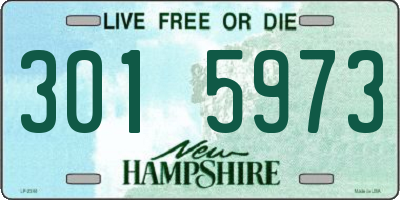 NH license plate 3015973