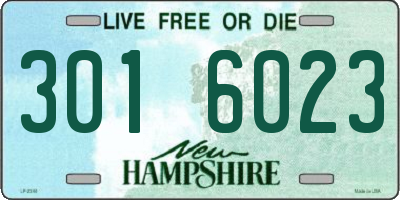 NH license plate 3016023