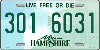 NH license plate 3016031