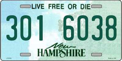 NH license plate 3016038
