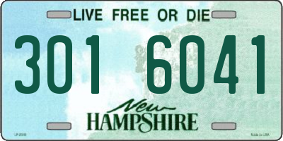 NH license plate 3016041