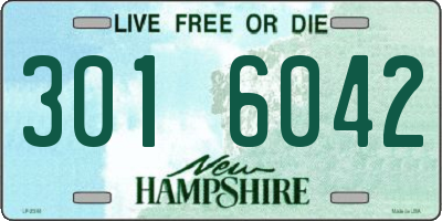 NH license plate 3016042