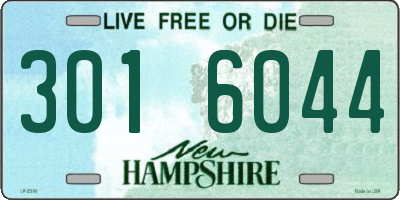 NH license plate 3016044