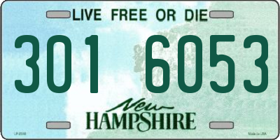 NH license plate 3016053