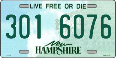 NH license plate 3016076