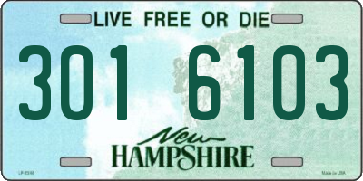 NH license plate 3016103