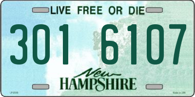 NH license plate 3016107