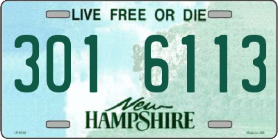 NH license plate 3016113
