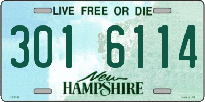 NH license plate 3016114
