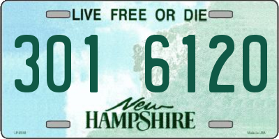 NH license plate 3016120