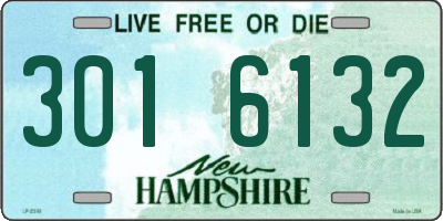 NH license plate 3016132