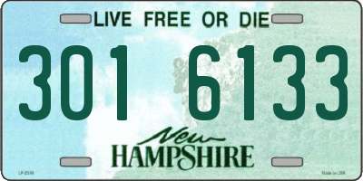 NH license plate 3016133