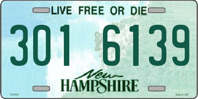 NH license plate 3016139