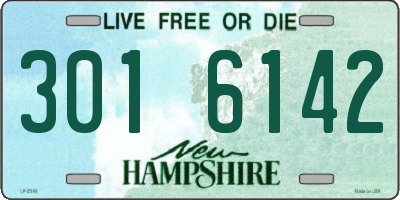 NH license plate 3016142