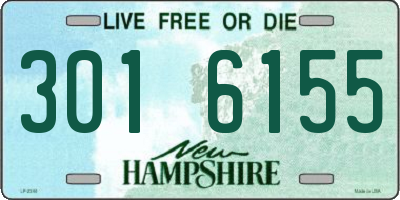 NH license plate 3016155