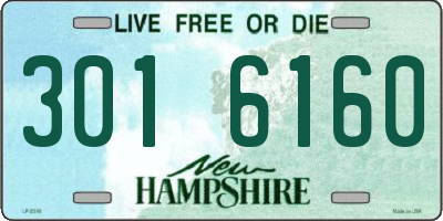 NH license plate 3016160