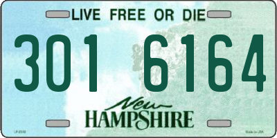 NH license plate 3016164