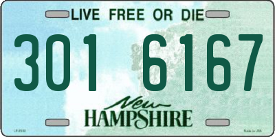 NH license plate 3016167