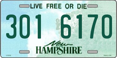 NH license plate 3016170