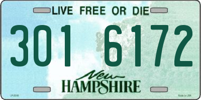 NH license plate 3016172