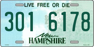 NH license plate 3016178