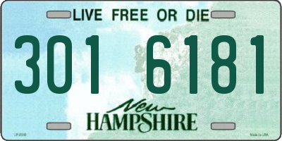 NH license plate 3016181