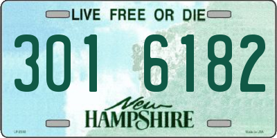 NH license plate 3016182