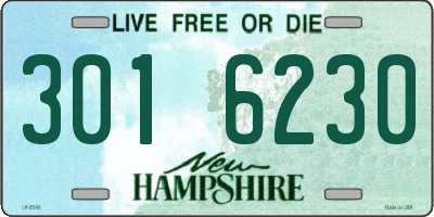 NH license plate 3016230