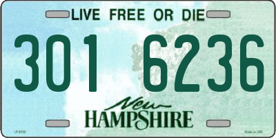 NH license plate 3016236
