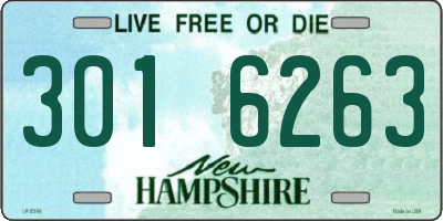 NH license plate 3016263