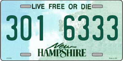 NH license plate 3016333