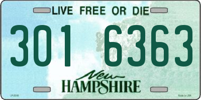 NH license plate 3016363